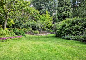 Optimiser l'expérience du jardin à Hadigny-les-Verrieres